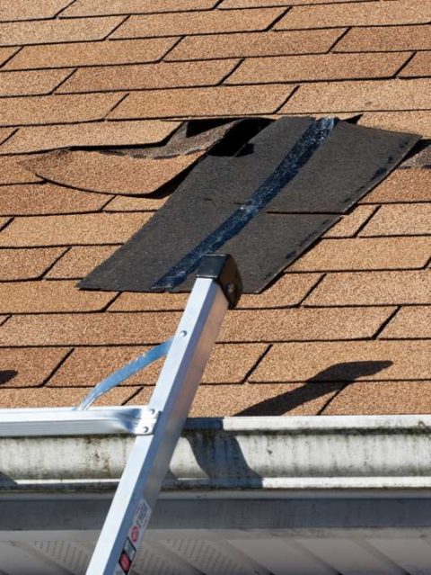 Roof Repair in progress